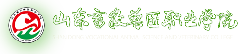 五大联赛官方网站